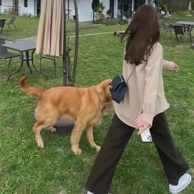叶问4
